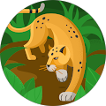 Cayo Argaez profile picture